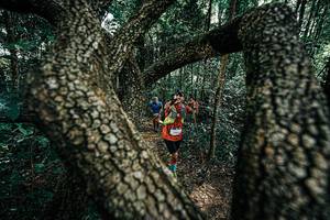 BIB: 
                            <button type="button" onclick="openModal(25392478)" class="btn btn-primary btn-sm float-right btn-popup" data-toggle="modal" data-target=".modal-high-quality">
                        <i class="fas fa-shopping-cart"></i> Add to Cart
                    </button>
                                            <button type="button" onclick="isThisMe(25392478, true)" class="btn btn-success btn-sm float-right btn-popup btn-isme hidden" data-toggle="tooltip" data-placement="bottom" title="นี่คือรูปของคุณใช่ไหม คลิกที่นี่เพื่อเอาเข้าอัลบั้ม">
                        <i class="fas fa-plus"></i> Add to album
                    </button>
                    <button type="button" onclick="isThisMe(25392478, false)" class="btn btn-warning btn-sm float-right btn-popup btn-isnotme hidden">
                        <i class="fas fa-ban"></i> Remove from album
                    </button>